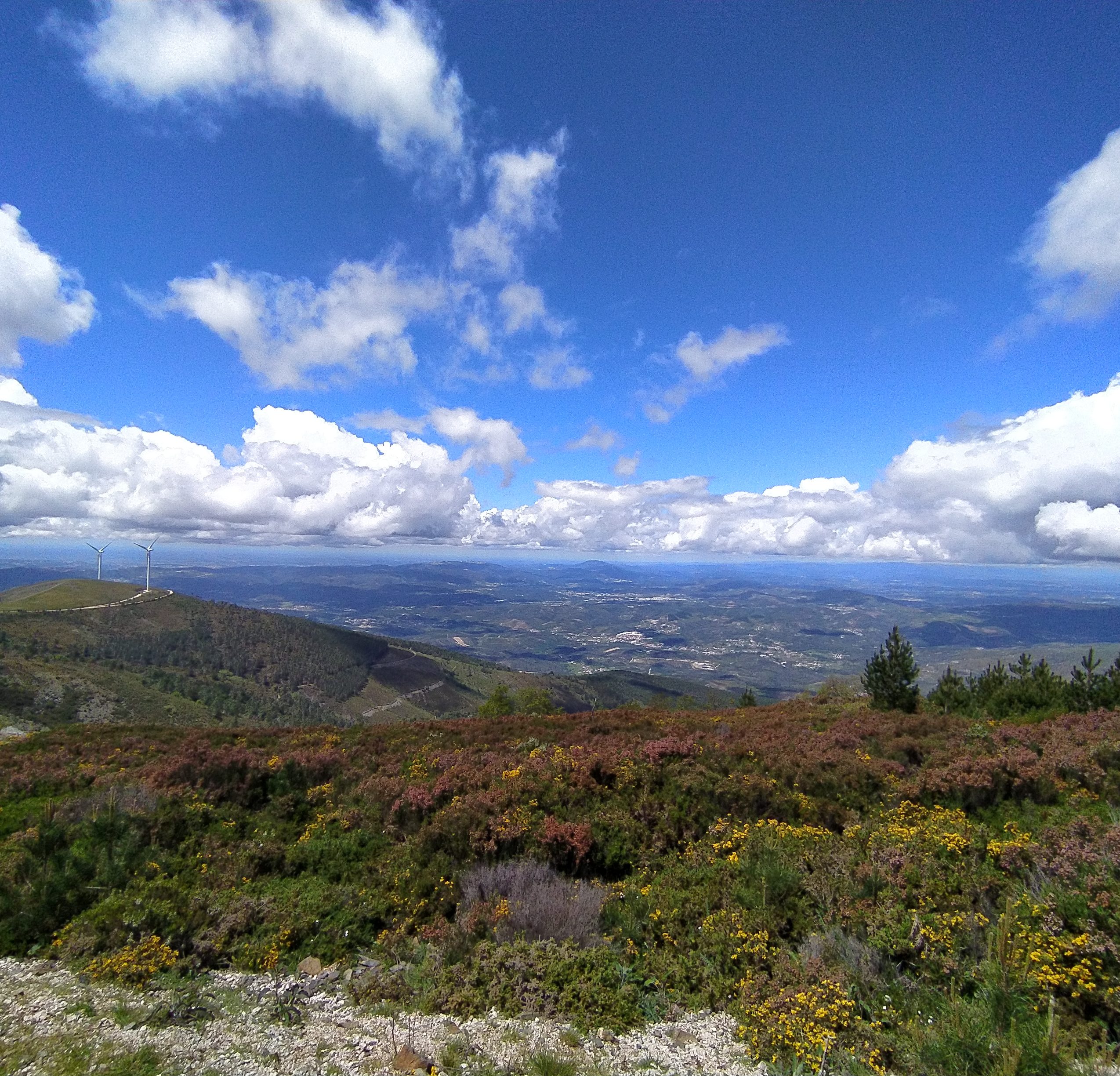 Rés do Chão Da Montanha Mágica